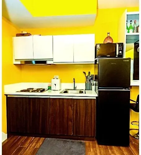 Apartment 2 Bedroom Yellow Luxury 5549 Makati 300mb Swim